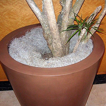 Mosser Lee Spanish Moss – Natural Decorative Moss for Houseplants, Soil Cover, Crafts, Terrariums & Floral Arrangements - 2.4 Cubic Foot - size: 2.4 cu. ft.