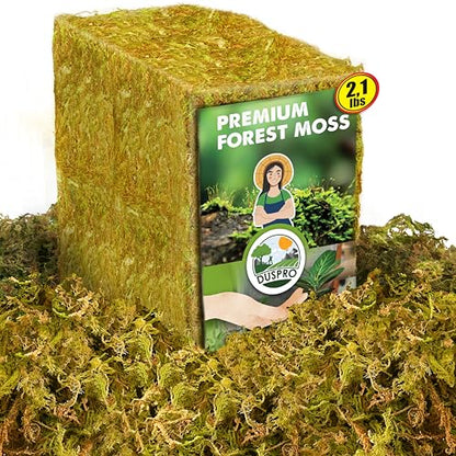 2.1 LBS Real Dried Forest Moss for Potted Plants, Plant Propagation | Hand-Picked & Clean, Easy to Rehydrate, Balanced Moisture, Forest Orchid Moss for Potting Mix,Moss Soil Cover for Houseplants - size: 2.1 Lbs