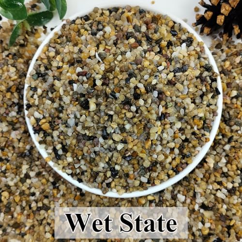 5lbs Aquarium Gravel, 1/8"(2-4mm) Natural River Rocks | Succulent Cactus Pea Gravel for Plants, Fish Tank, Decorative Pebbles for Gardening, Flower Pots, Vase Fillers, Landscaping - size: 1/8 Inch