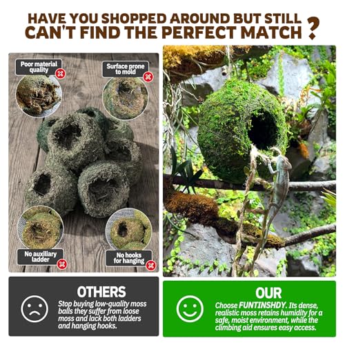 Moss Cave Hideout with Hanging Rope & Hemp Climbing Ladder – Natural Reptile Tank Decor Accessories for Crested Geckos, Chameleons, Tree Frogs, Leopard Geckos & Snakes. Terrarium & Vivarium Decor (6") - size: 6"