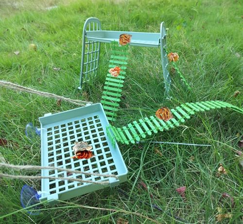 Hermit Crab Climbing Toys Reptile Ladder Plastic Grid Habitat Hammock for Hamster Guinea Pig (Green) - style: Classic