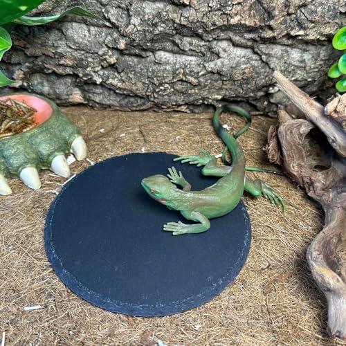 Reptile Basking Platform 6.0IN Turtle Rock Slate Plate Food Bowl Feeding Dish Tortoise Bathing Resting Terrace for Bearded Dragon Chameleon Gecko Snake Lizard Frog Newt - size: 6.0inch(1pcs)