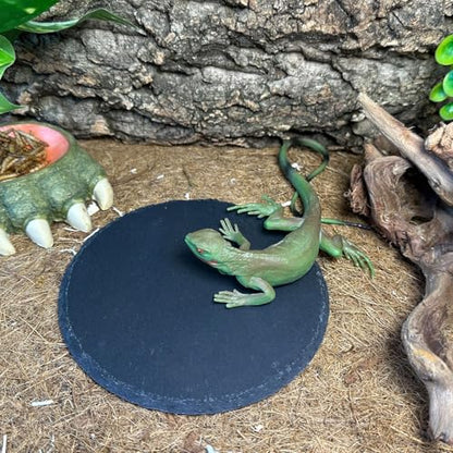 Reptile Basking Platform 6.0IN Turtle Rock Slate Plate Food Bowl Feeding Dish Tortoise Bathing Resting Terrace for Bearded Dragon Chameleon Gecko Snake Lizard Frog Newt - size: 6.0inch(1pcs)