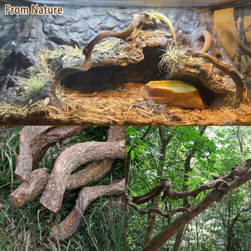 Reptile Decor 4PCS Natural Forest Branch Terrarium Habitat Wood Decoration Lizard Climbing Tree Branch for Bearded Dragon Gecko Snake Frog Chameleon Spider