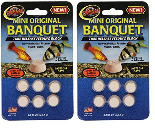 Zoo Med Laboratories AZMBB2 Mini Banquet Block Feeders, 12 Count - size: 6 Count (Pack of 2)