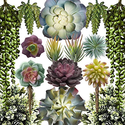 caqpo Premium Artificial Succulents - Mini Fake Succulent Plants & Faux Cactus - 15 Pack - size: 2" - 7" in Diameter and 4" - 14" in Lenght