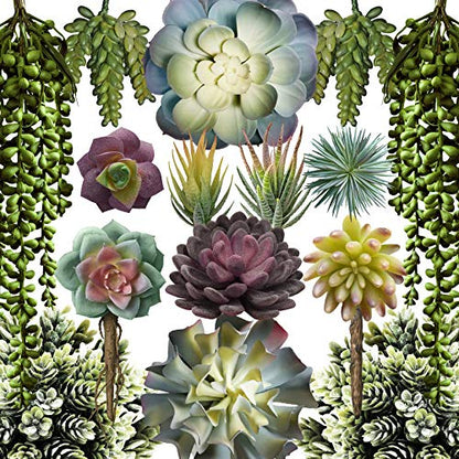 caqpo Premium Artificial Succulents - Mini Fake Succulent Plants & Faux Cactus - 15 Pack - size: 2" - 7" in Diameter and 4" - 14" in Lenght