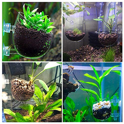 Carpetsma Aquarium Plant Pot, Glass Fish Tank Plants Holder - Aquarium Planter with 2 Suction Cups for Fish Tank Decor - 1 Pack - size: 1 pack