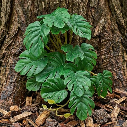 3 Pack Reptile Fake Plants for Terrarium Snake Habitat Decor Plant | Artificial Hanging Plants with Suction Cups Monstera, Terrarium Habitat Decor for Bearded Dragons Lizards Snake Geckos Frogs