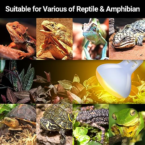 REPTI ZOO Reptile Heat Lamp Bulb 150W,2 Pack Neodymium Basking Spot Light, UVA Daylight Heating Lamp for Amphibian & Chicken Brooder | Simulated Natural Sunlight for Bearded Dragon,Lizard,Tortoise - style: 150W/Neodymium Daylight