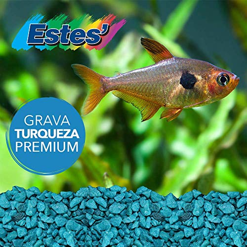 Special Turquoise Aquarium Gravel for Freshwater Aquariums, 5-Pound Bag
