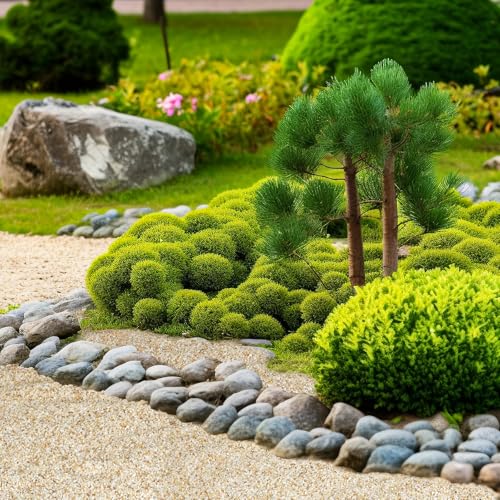 1-2mm Coarse Sand for Plants, 6lbs Horticultural Sand for Gardening | Desert Silica Sand for Cactus, Vases, Aquariums, Terrarium, Fish Tank, Drainage Rocks for Potted Plants, Bamboo, Crafts