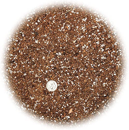 Premium Organic Seed Starter Soil - 20 Quart - All-Purpose Organic Potting Soil for Happy Seedlings and Plants by Gardenera (4 Bags of 5 Quarts) - size: 20 Quart Bag, style: #2 SEED STARTER MIX