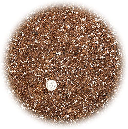 Premium Organic Seed Starter Soil - 10 Quart - All-Purpose Organic Potting Soil for Happy Seedlings and Plants by Gardenera (2 Bags of 5 Quart) - size: 10 Quart Bag, style: #2 SEED STARTER MIX