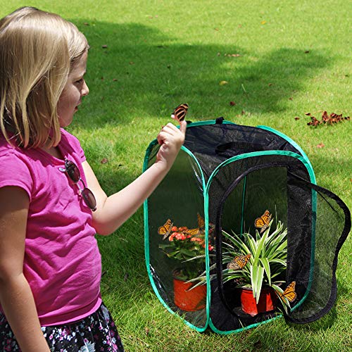RESTCLOUD Insect and Butterfly Habitat Cage Pop-up 23.6 Inches Tall | Butterfly Terrarium, Enclosure, Tight Mesh - color: Black With Green, size: 15.7 x 15.7 x 23.6 inches