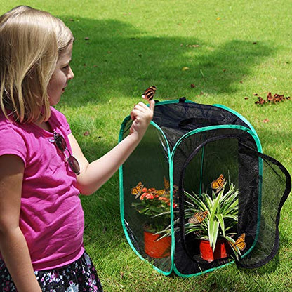 RESTCLOUD Insect and Butterfly Habitat Cage Pop-up 23.6 Inches Tall | Butterfly Terrarium, Enclosure, Tight Mesh - color: Black With Green, size: 15.7 x 15.7 x 23.6 inches