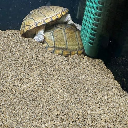 FANTIAN 5 lbs Aquarium Sand, 0.6-1.2 mm Aquarium Substrate for Freshwater Fish Tank. Decorative River Rocks Gravel for Fish Tank, Plants Potted, Fire Pits, Candle, Vase and Crafts | Aquarium Substrate Gravel, Coarse Sand for Fish Tank Shrimp Turtle, Terra