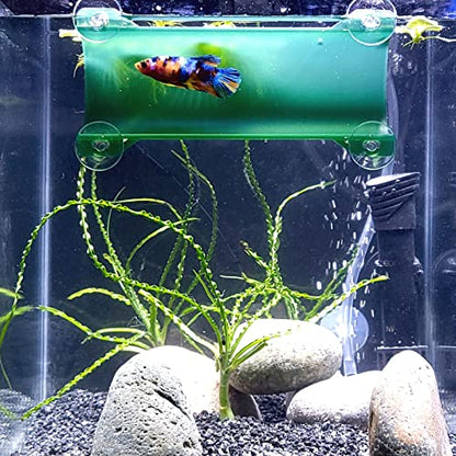Brand Betta Tunnel (Translucent Dark Green) - color: Translucent Dark Green