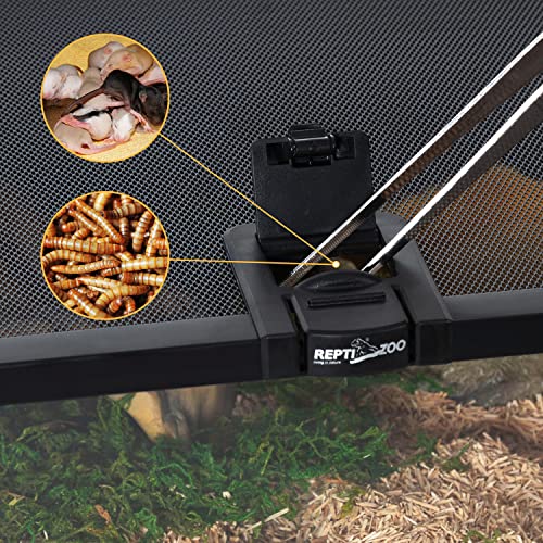 REPTIZOO Small Reptile Tank 20" x 12" x 6" Glass Reptile Terrarium with Top Feeding Habitat for Snake Spider - size: 20" x 12" x 6"