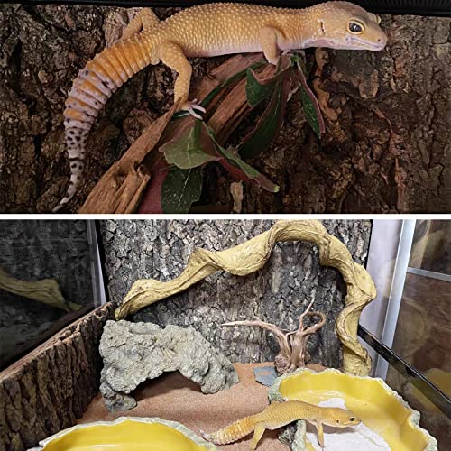 Fhiny 2 PCS Cork Bark Background, 11.6" x 7.7" Natural Reptile Terrarium Backdrop, Reptile Climbing Wall Decor for Bearded Dragon, Gecko, Chameleon, Snake