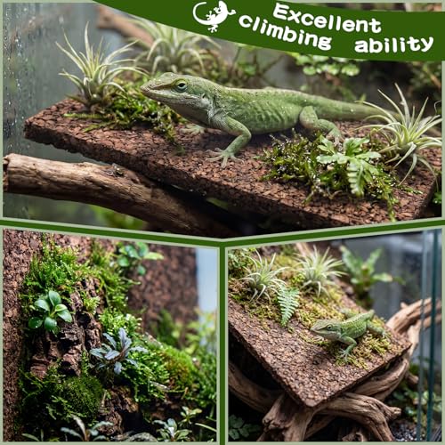 4 Pack Cork Terrarium Background, Natural Bark Climbing Mat | 16x12 Inch Cork Terrarium Background, 9.5mm Thick Natural Bark Panel, Self Healing Climbing Mat for Reptiles, Lizards Spiders