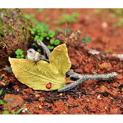 Top Collection Miniature Fairy Garden and Terrarium Little Bird and Ladybug on Leaves, Mini