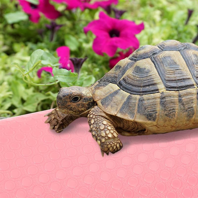 BESPORTBLE Bearded Dragon Tank Accessories, Reptile Carpet EVA Terrarium Liner Reptile Tank Accessories for Leopard Gecko Snake Lizard Tortoise Bearded Dragon, 58.5 * 17.55inch