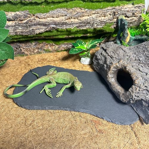 Reptile Basking Platform 11''x5.5'' Turtle Rock Plate Feeding Food Bowl Dish Feed Slate Tortoise Bathing Resting Slab for Lizard Gecko Bearded Dragon Chameleon Snake Frog-2Pcs - size: 11''x5.5''(2PCS)