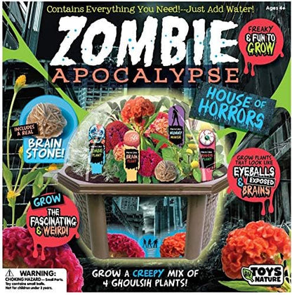 TOYS BY NATURE Create Your Own Zombie Apocalypse - Complete Kids Terrarium Kit to Grow Plants That Look Like Real Brains and Eyeballs - Includes Everything Needed to Start Your House of Horrors - style: Zombie Apocalypse