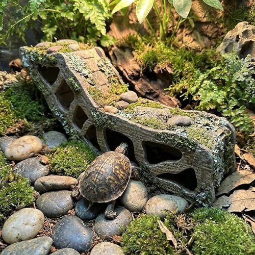 3-in-1 Poplar Wood Reptile Hideout with Sloped Ramp & Tunnel, Golden-Brown Terrarium Decor for Bearded Dragon, Lizard, Snake, Gecko, Lightweight Easy-Clean Habitat (Golden-Brown Poplar Wood)