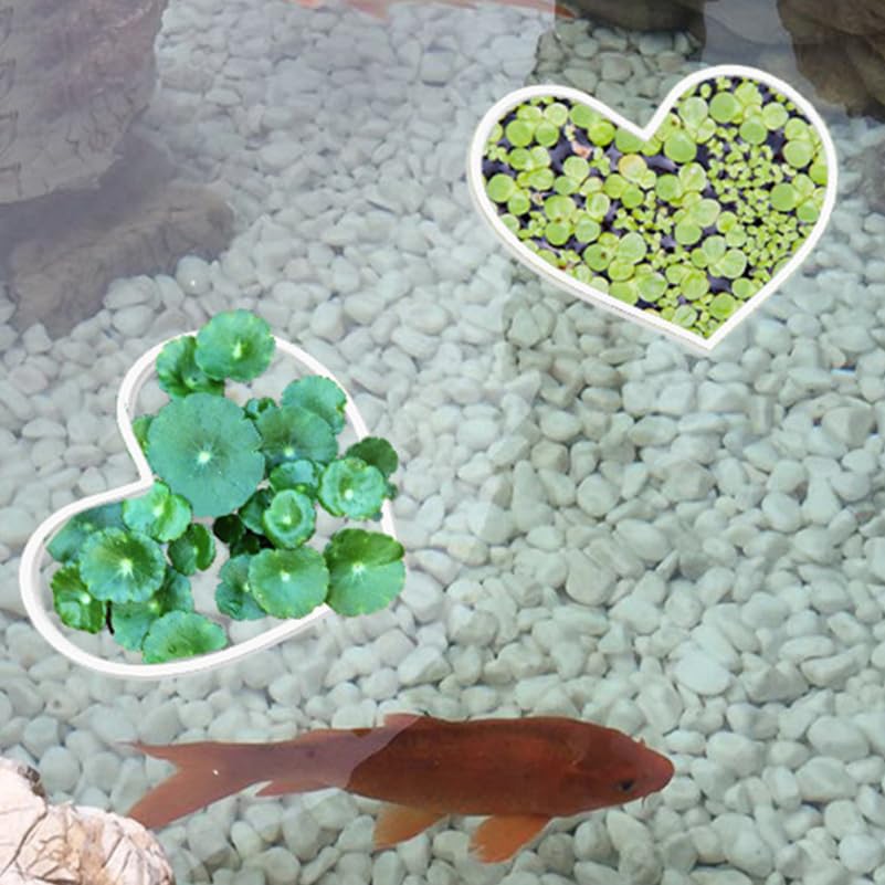 5Pcs Floating Plant Rings for Aquarium Fish Tank Accessories Feeding Ring Betta Fish Floating Divider Plant Holder 7.67X6.10In