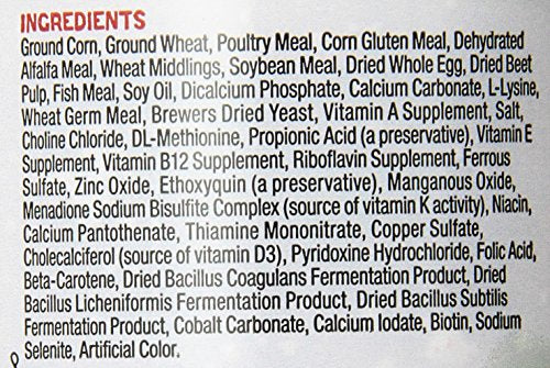 Zilla Bearded Dragon Extruded Food Pellets 6.5 Ounces (Pack of 2) - size: 6.5 Ounce (Pack of 2)