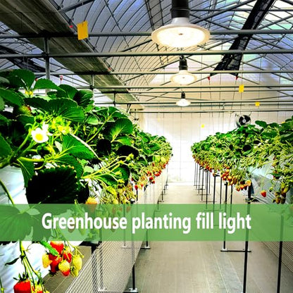 Outdoor LED Grow Lights, Waterproof String Grow Light, Full Spectrum Plant Growing Lights with 12Ft Adjustable Cord 3 Lights - size: 3 Lights(12FT)