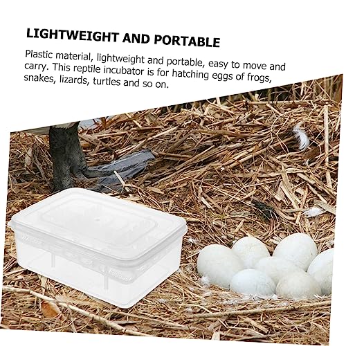 GALPADA Egg Incubator for Reptiles Reptile Hatching Box for Tortoise Lizard and Quail Eggs Observation Window
