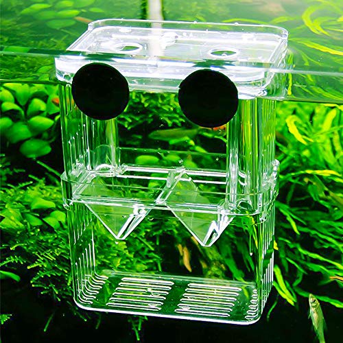 Aquarium Fish Breeder Box Plastic Fish Isolation Breeding Box Hatching Incubator Box for Baby Fishes Shrimp Clownfish Guppy - size: Medium