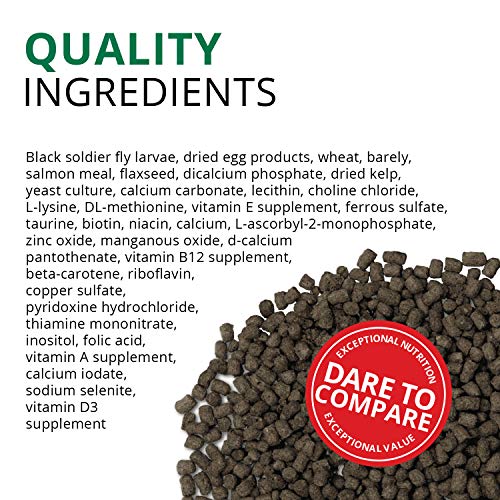 Fluval Bug Bites Turtle Food, 1.5 oz, Brown | Pellets for Small to Medium Sized Turtles, A6592 - size: 1.5 Ounce (Pack of 1)