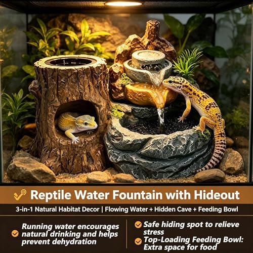 PurifyLogix 3in1 Reptile 550ML Waterfall Fountain with Food Dish & Hideout | Adjustable Flow Drinking Fountain for Bearded Dragon, Water Dispenser, Gecko, Lizard, Chameleon, Natural Resin