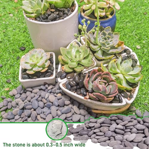 2.4lb River Rocks Pebbles for Plants & Succulents, Decorative Outdoor Landscaping & Aquarium Garden Rocks - size: 2.4LB, style: Small