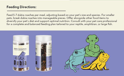 EDENPAWS® Dried Dubia Roaches – High Protein, 100% Natural Feeder Insects for Reptiles, Amphibians, and Large Fish – 1.3 oz (37g)