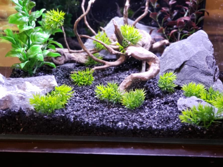 Natural Slate Stone 5 to 7 Inches - USA Sourced and Packaged for Aquascaping Aquariums, Terrariums, Paludariums, Reptile Enclosures, and Gardens (10lbs) - size: 10 lbs