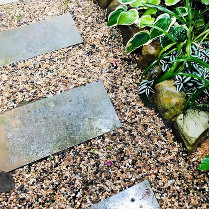 FANTIAN 2 lbs Aquarium Gravel, 1/4 inch Pea Gravel for Fish Tank | Natural Pebbles River Rocks for Plants, Succulent, Vase, Pond, Outdoor Landscaping, Drainage, Terrarium, Safe for Fish - size: 1/4 Inch