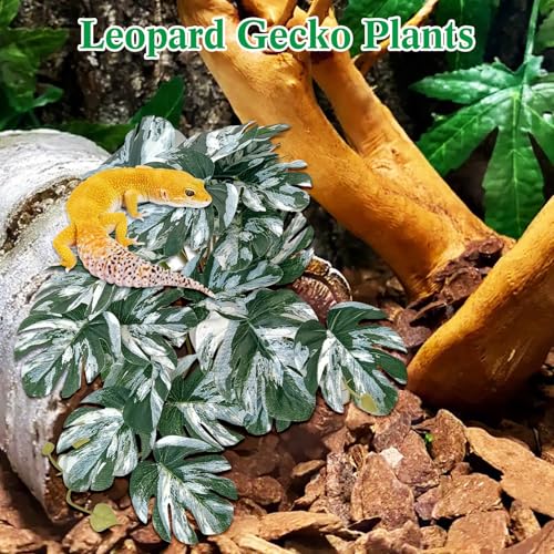 VCEPJH Loose Coconut Fiber Substrate 2 Pack Natural Coco Coir Reptile Bedding and 2 Pcs Reptile Plants with Suction Cup Amphibian Habitat Decor Artificial Leaves for Bearded Dragon, Lizard, Snake