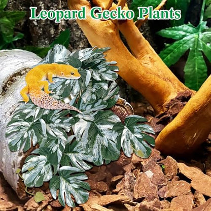 VCEPJH Loose Coconut Fiber Substrate 2 Pack Natural Coco Coir Reptile Bedding and 2 Pcs Reptile Plants with Suction Cup Amphibian Habitat Decor Artificial Leaves for Bearded Dragon, Lizard, Snake