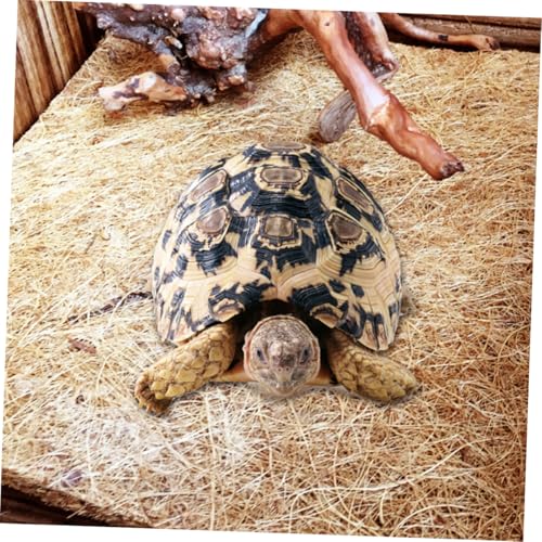 Veemoon 2pcs Natural Coconut Fiber Reptile Mat Breathable Pet Bedding Liner Brown for Tortoise Habitat and Microlandscape Use