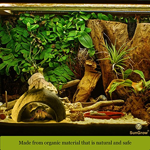 SunGrow Hermit Crab Coconut Cave, Spacious Hide Interior Habitat Comfort Zone, Ascension Coco Shelter Tank Decor Utility, Aquarium Terrarium Accessory Reptile Compatible Enclosure Feature Design
