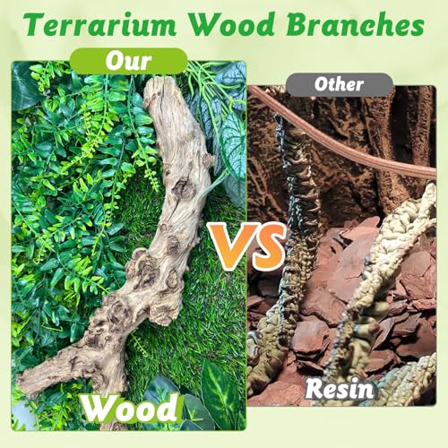 Reptile Branch Decor 2 Pcs Snake Climbing Wood Branches Lizard Habitat Decorations Terrarium Natural Forest Tree Trunk Ornament for Bearded Dragon Geckos Chameleon Frog