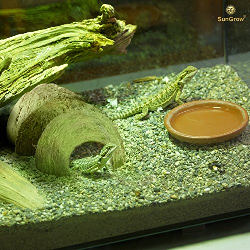 SunGrow Hermit Crab Coconut Cave, Spacious Hide Interior Habitat Comfort Zone, Ascension Coco Shelter Tank Decor Utility, Aquarium Terrarium Accessory Reptile Compatible Enclosure Feature Design