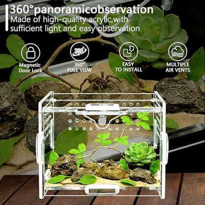 Mini Acrylic Spider Enclosure, Clear Habitat with 1mm Ventilation | Compact clear acrylic enclosure with 1 mm ventilation holes for jumping spiders and other small invertebrates. - size: Small Square Acrylic Terrarium