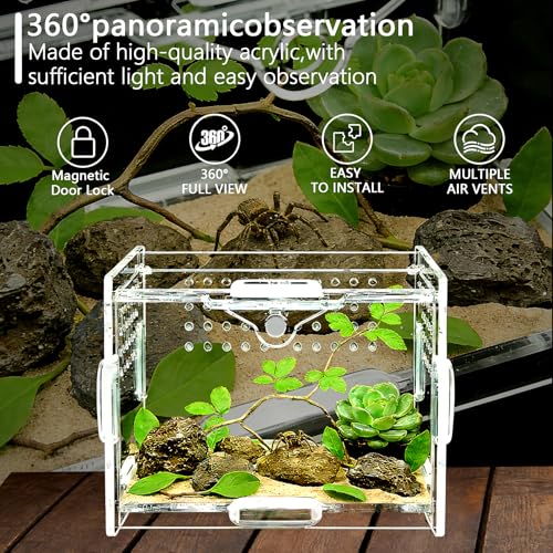 Mini Acrylic Spider Enclosure, Clear Habitat with 1mm Ventilation | Compact clear acrylic enclosure with 1 mm ventilation holes for jumping spiders and other small invertebrates. - size: Small Square Acrylic Terrarium