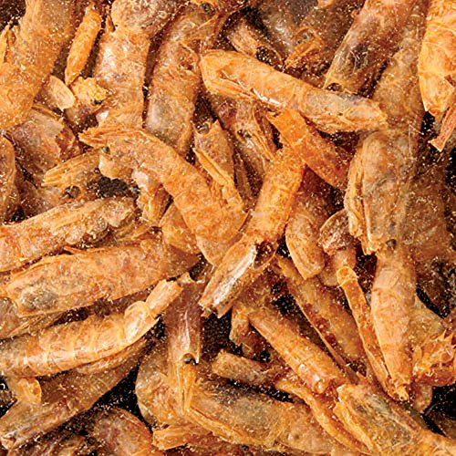 Zoo Med Large Sun-Dried Red Shrimp Aquatic Turtle Food 10 oz. - size: 10 Ounce (Pack of 1)